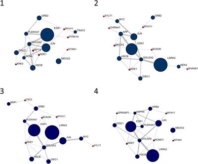 Gene Set Enrichment Analysis of Interaction Networks Weighted by Node Centrality